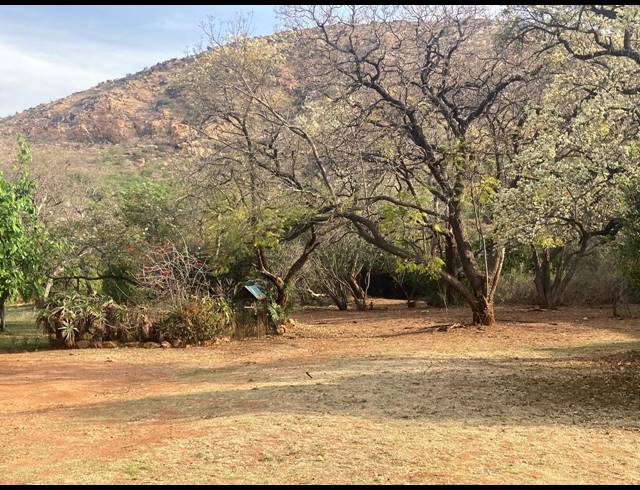 81HA FARM FOR SALE IN RIETVLY AH